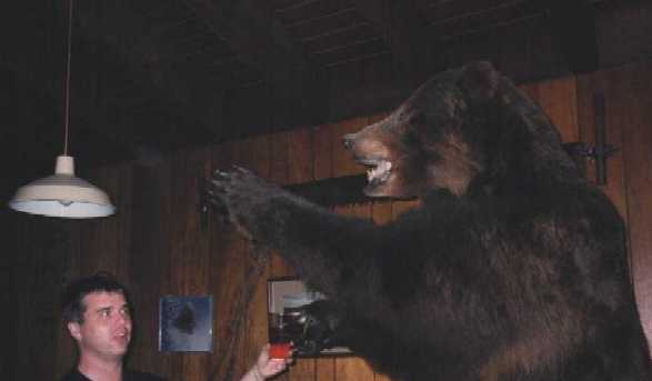  drinking w/ bear